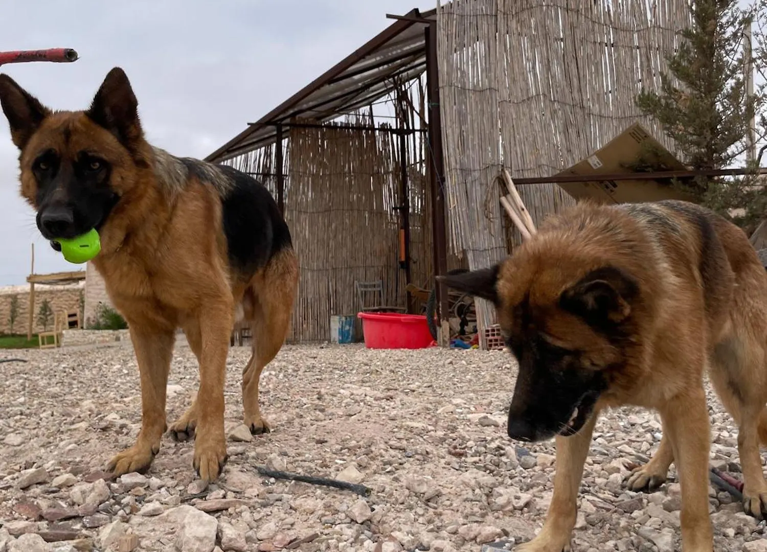 Farm Villa With Pets Εσαουίρα