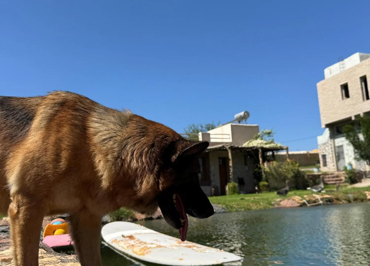 Farm Villa With Pets Εσαουίρα